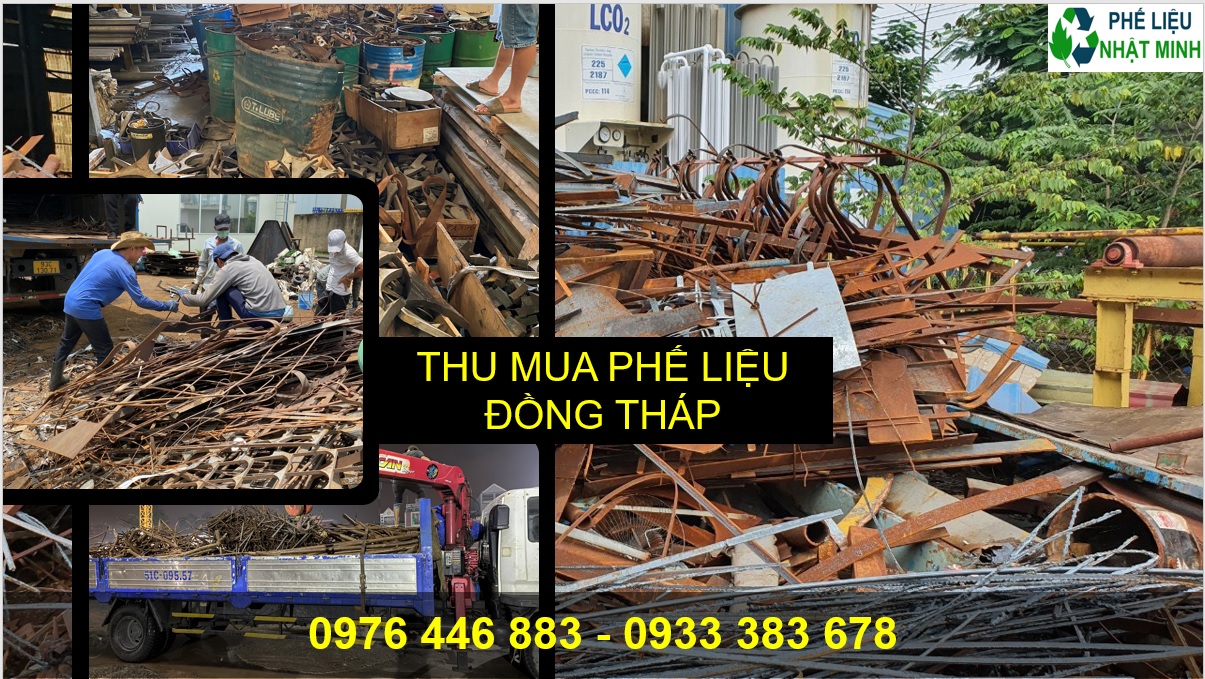 Thu Mua Phe Lieu Dong Thap1
