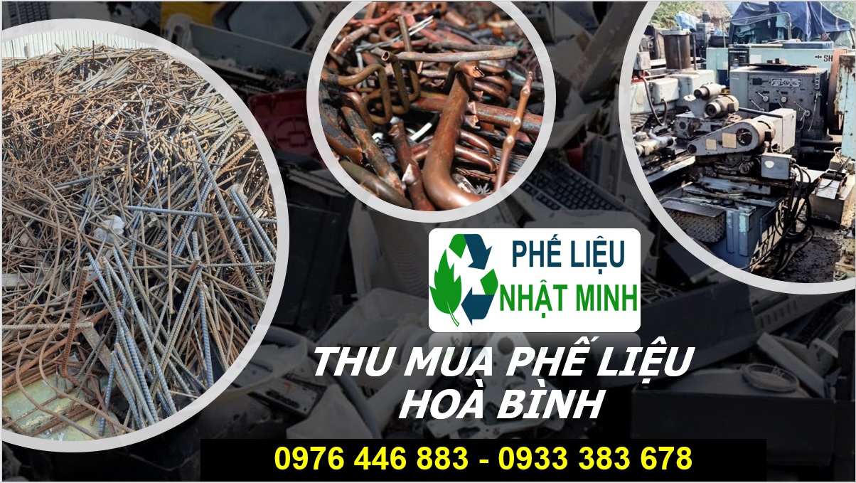 Thu Mua Phe Lieu Hoa Binh3