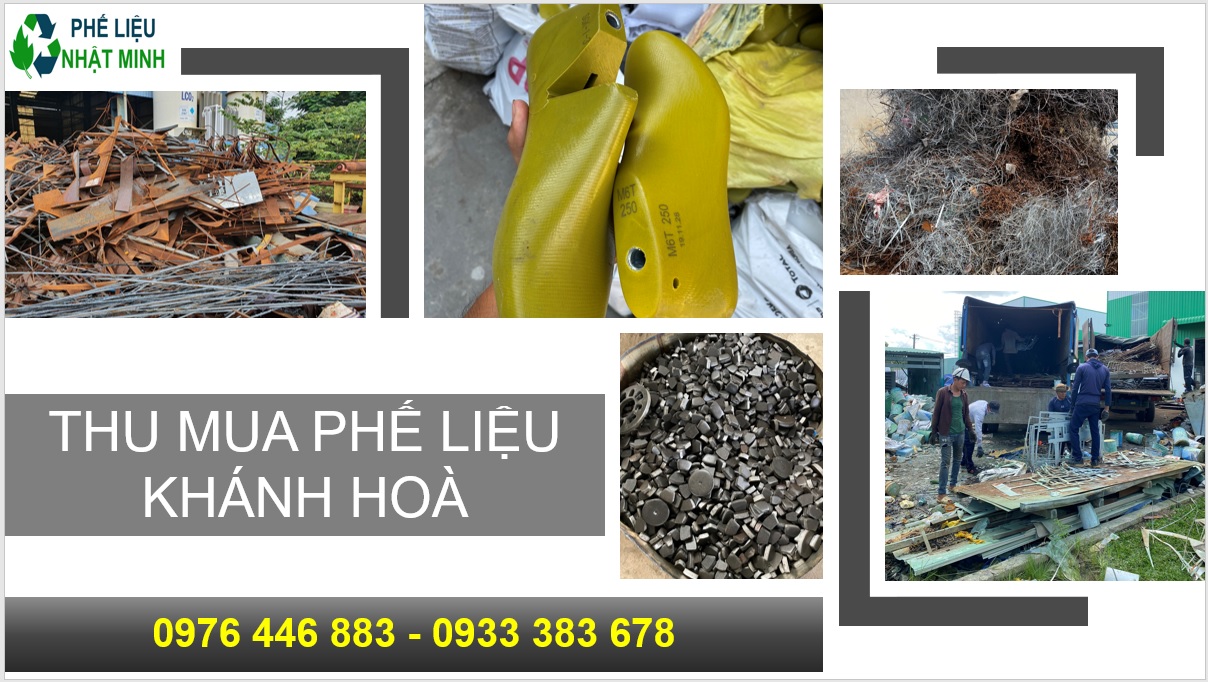 Thu Mua Phe Lieu Khanh Hoa2
