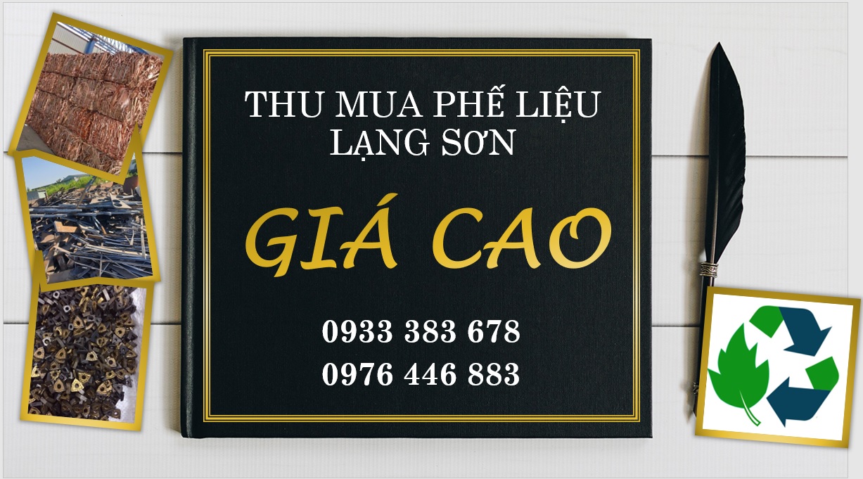 Thu Mua Phe Lieu Lang Son3