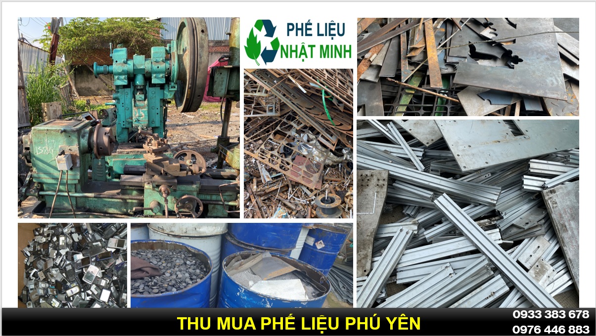 Thu Mua Phe Lieu Phu Yen