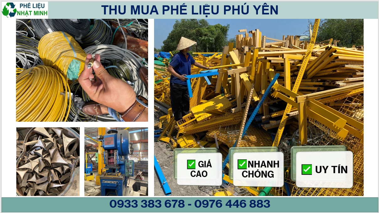 Thu Mua Phe Lieu Phu Yen4