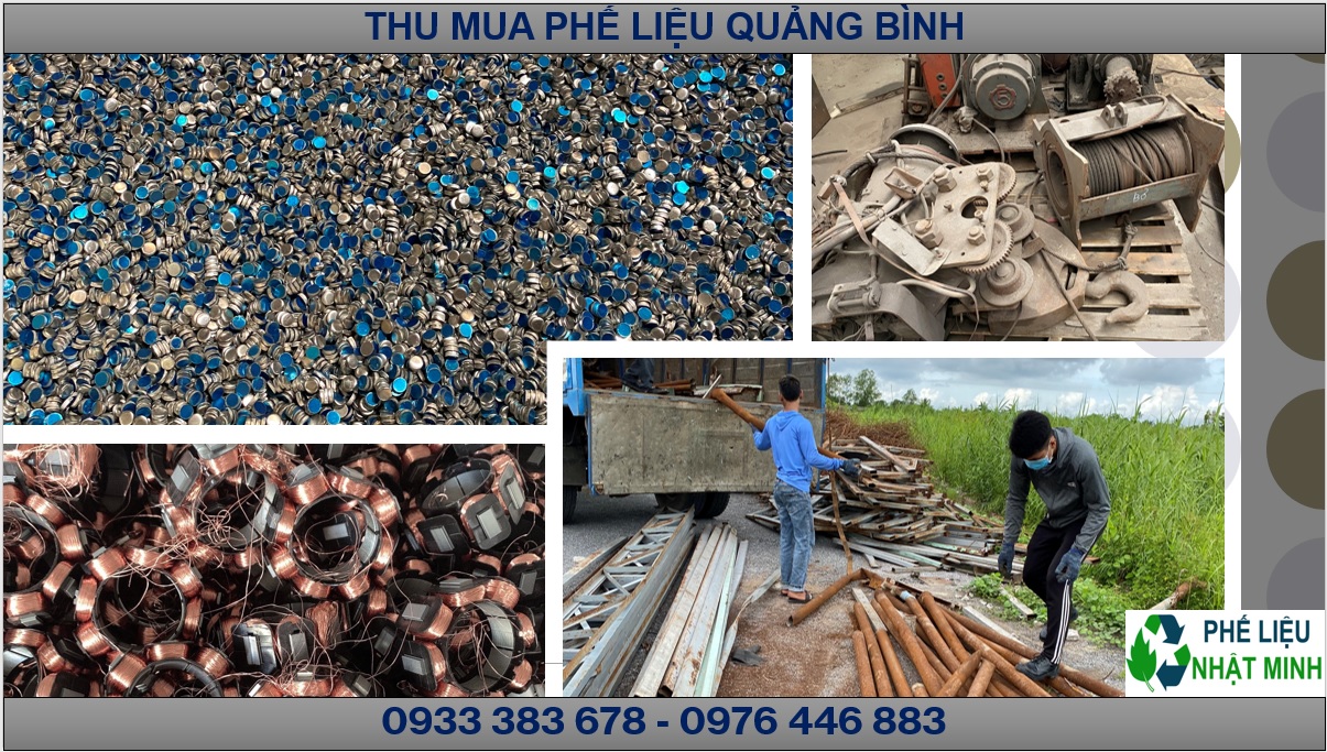 Thu Mua Phe Lieu Quang Binh1