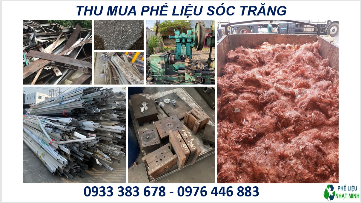 Thu Mua Phe Lieu Soc Trang4