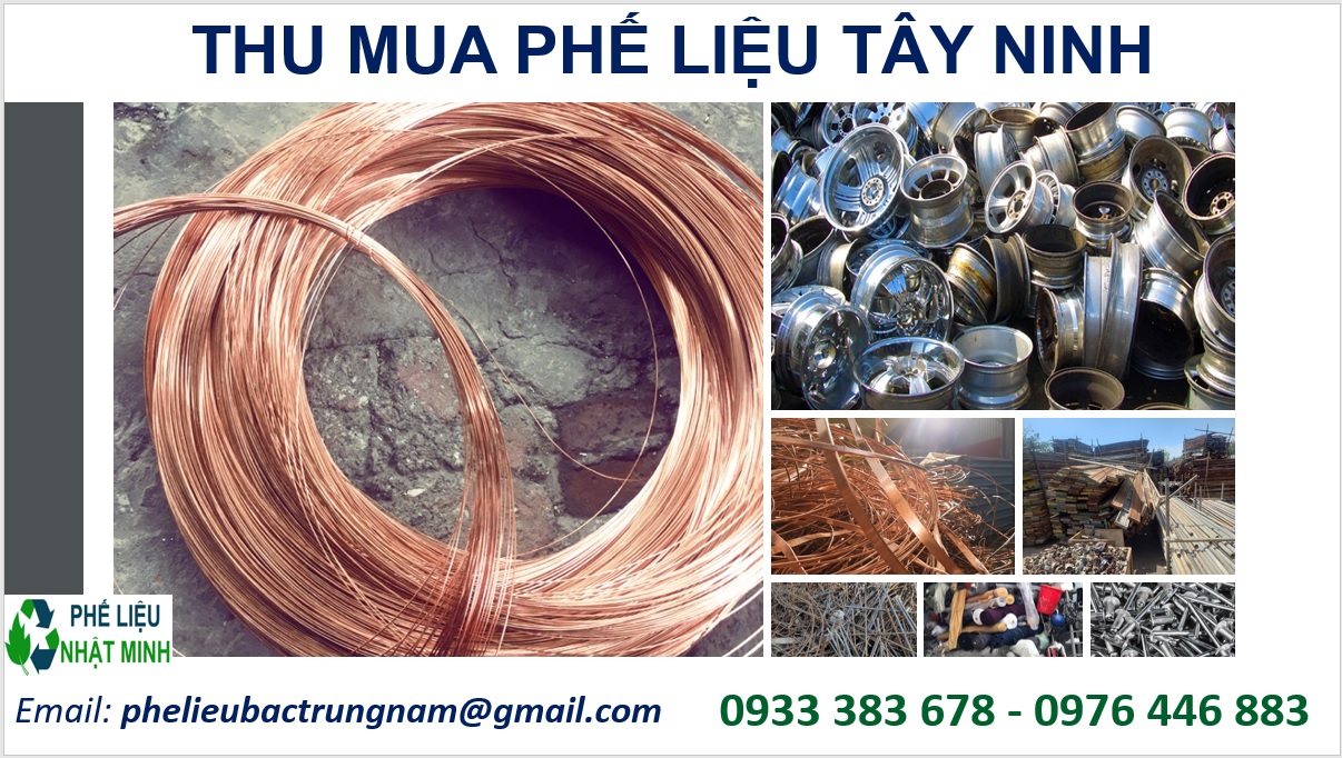 Thu Mua Phe Lieu Tay Ninh1
