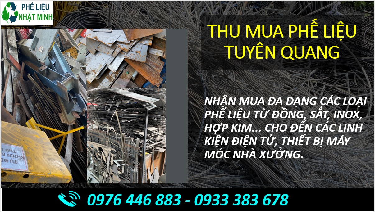 Thu Mua Phe Lieu Tuyen Quang4
