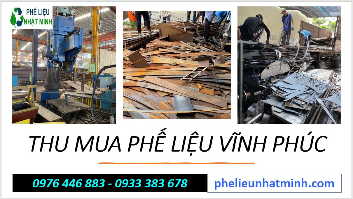 Thu Mua Phe Lieu Vinh Phuc3