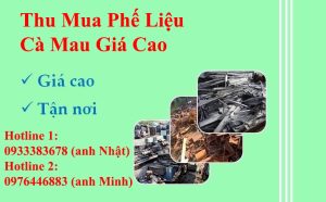 Thu Mua Phế Liệu Cà Mau