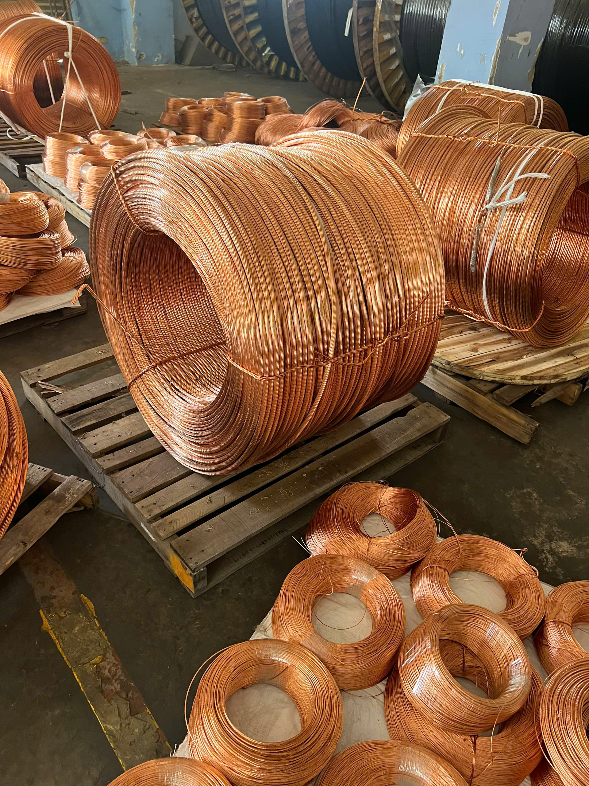 Z7129791266329 4F0B7314Ef9920D96A80D8863A519965