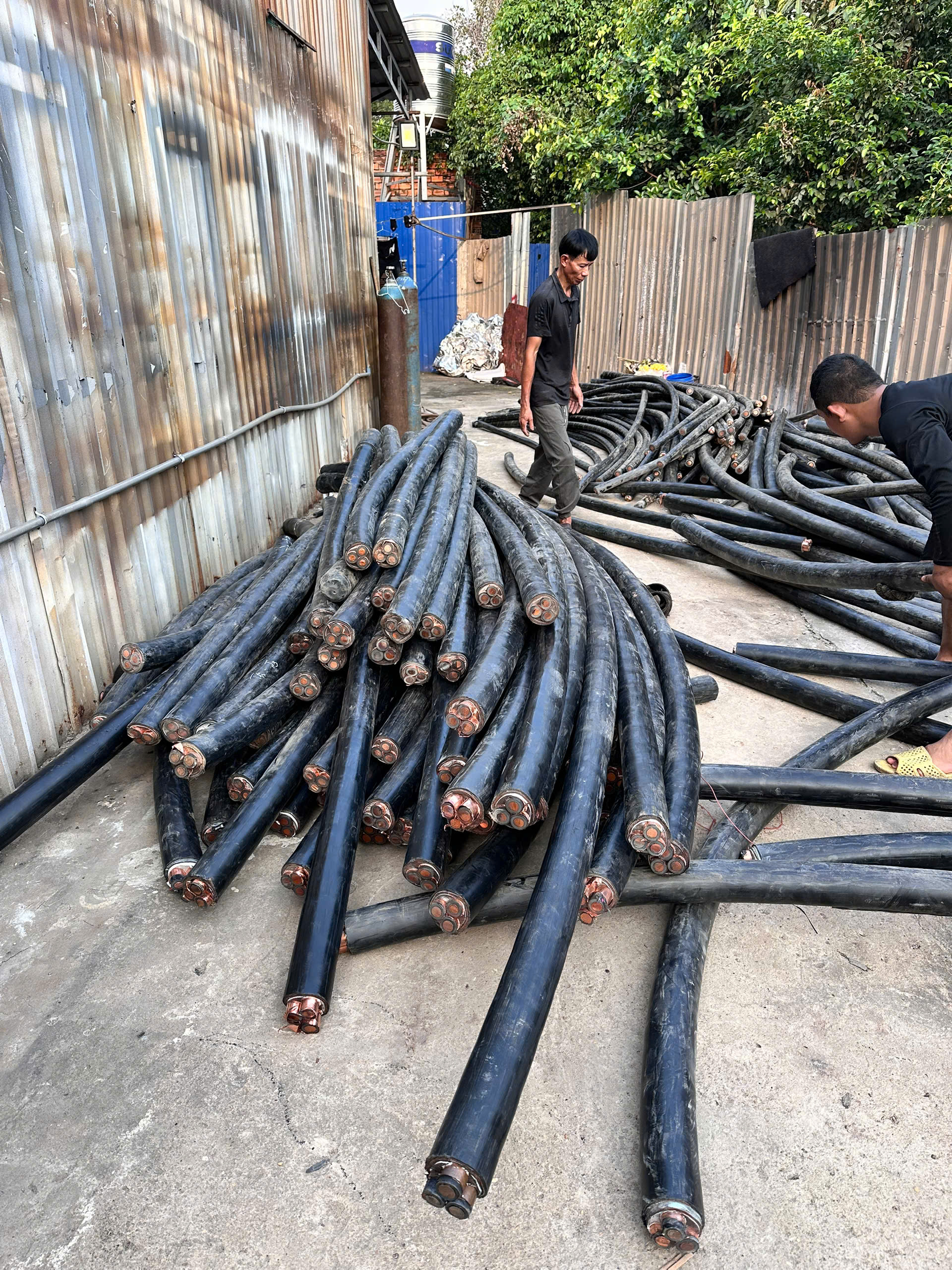 Z7250137579499 Ffe62Cfdf76F5355Df28C76Dd40A2Bd0